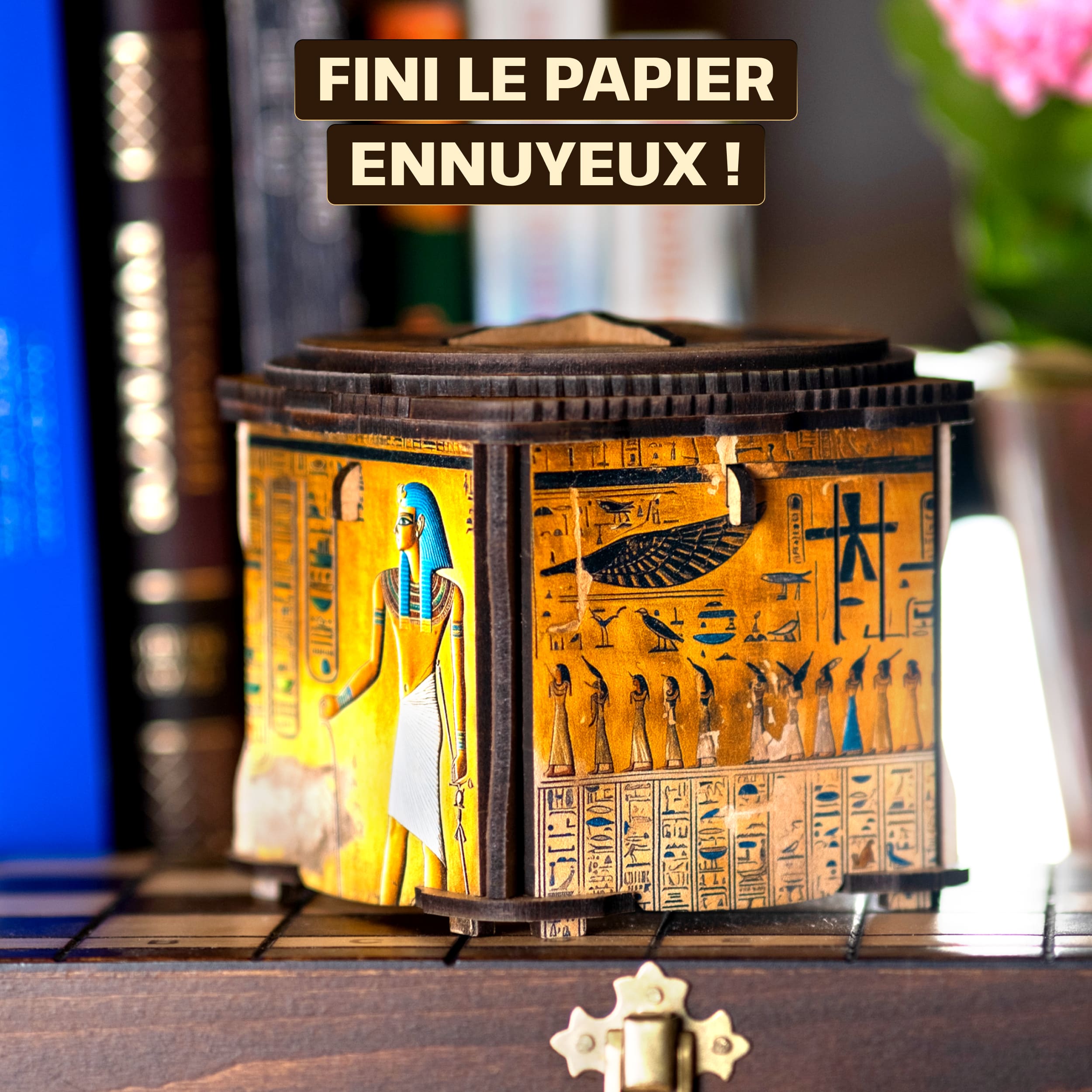 Images et photos de Art Secret Lock Box. ESC WELT.