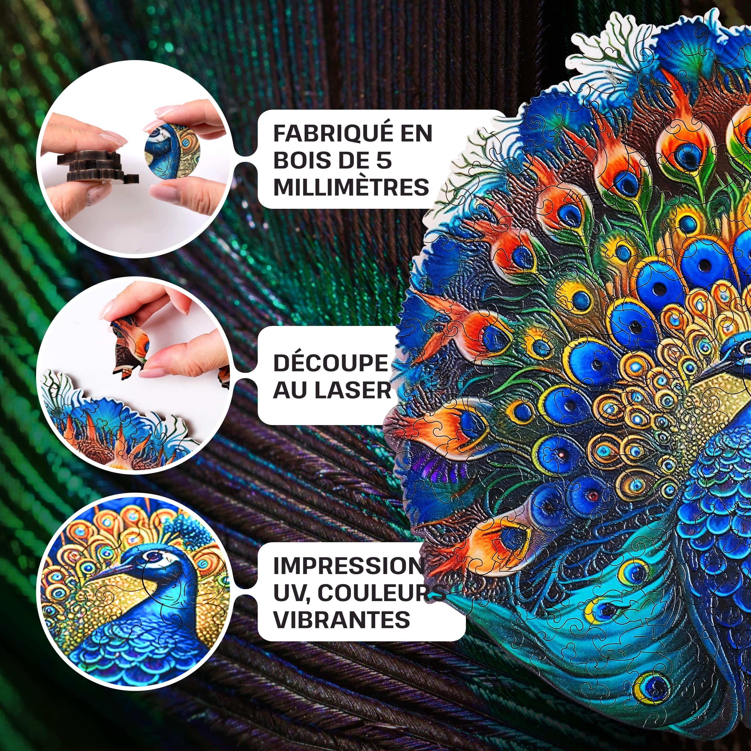 Images et photos de Peacock puzzle 300 pièces. ESC WELT.
