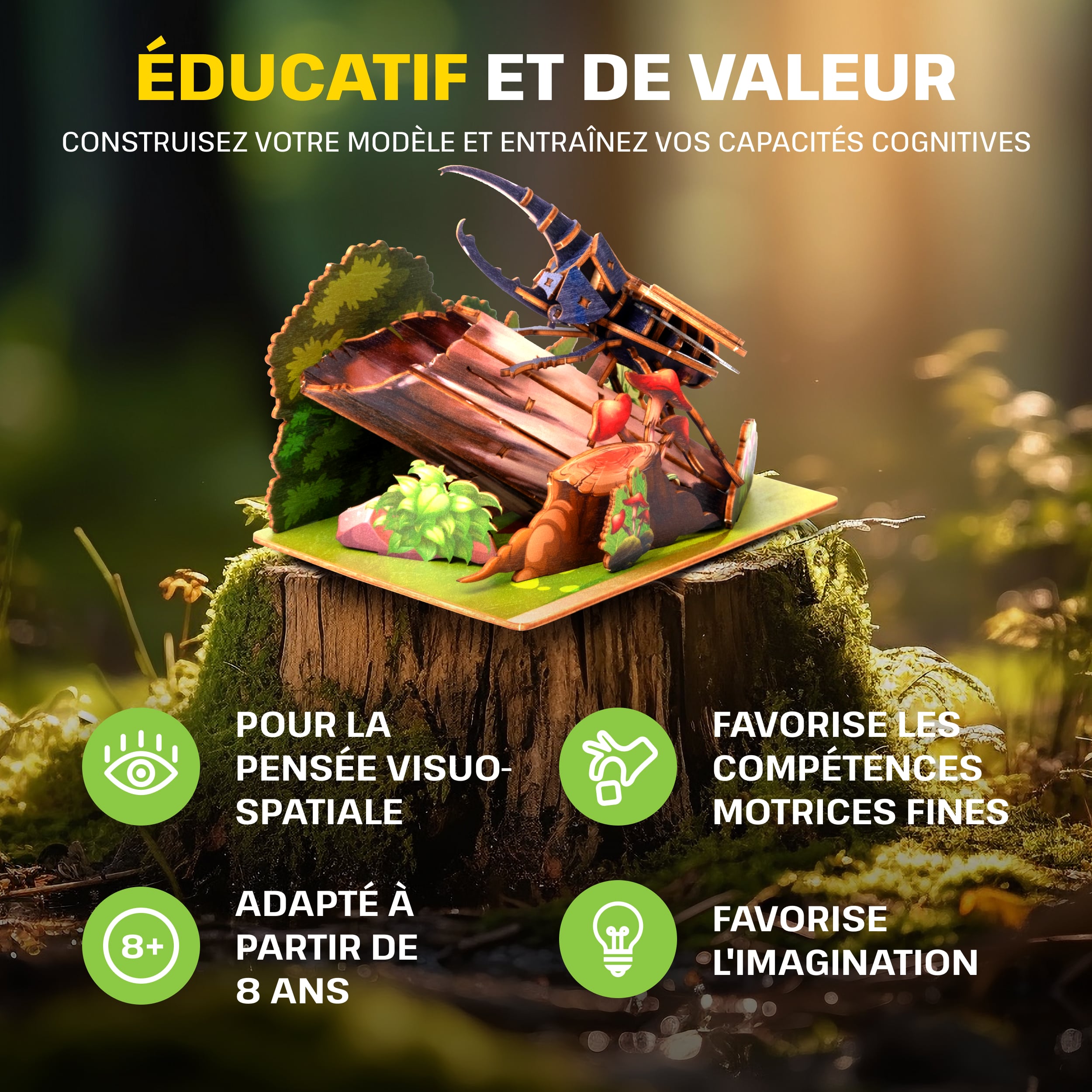 Images et photos de Fantasy Trio 3D Puzzle Kit. ESC WELT.