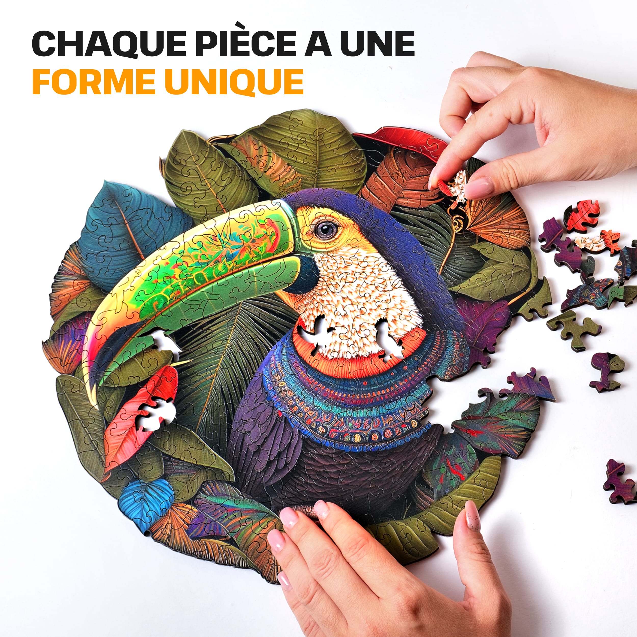 Images et photos de Toucan puzzle 200 pièces. ESC WELT.